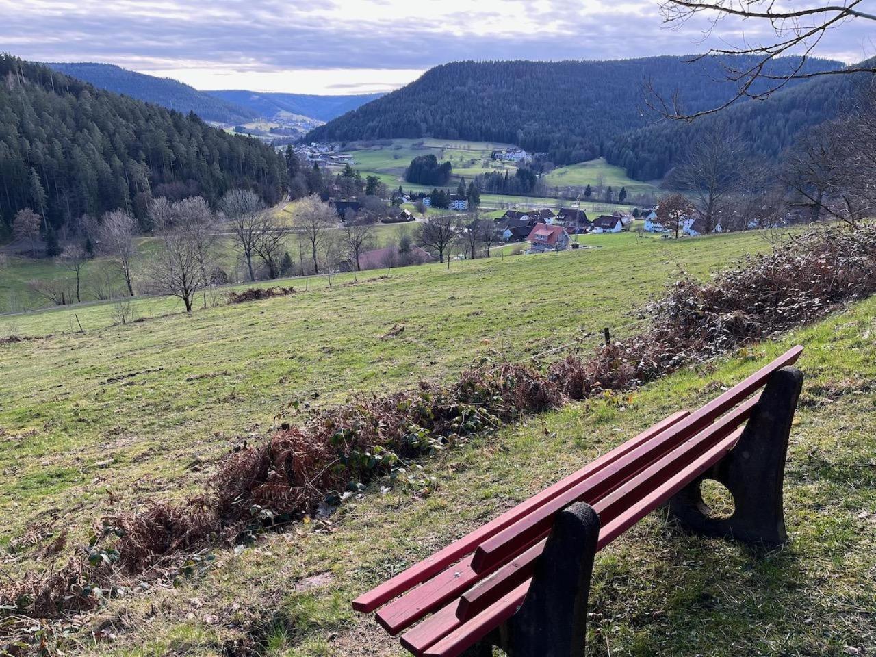 Ferienwohnungen Greve Baiersbronn Exteriér fotografie