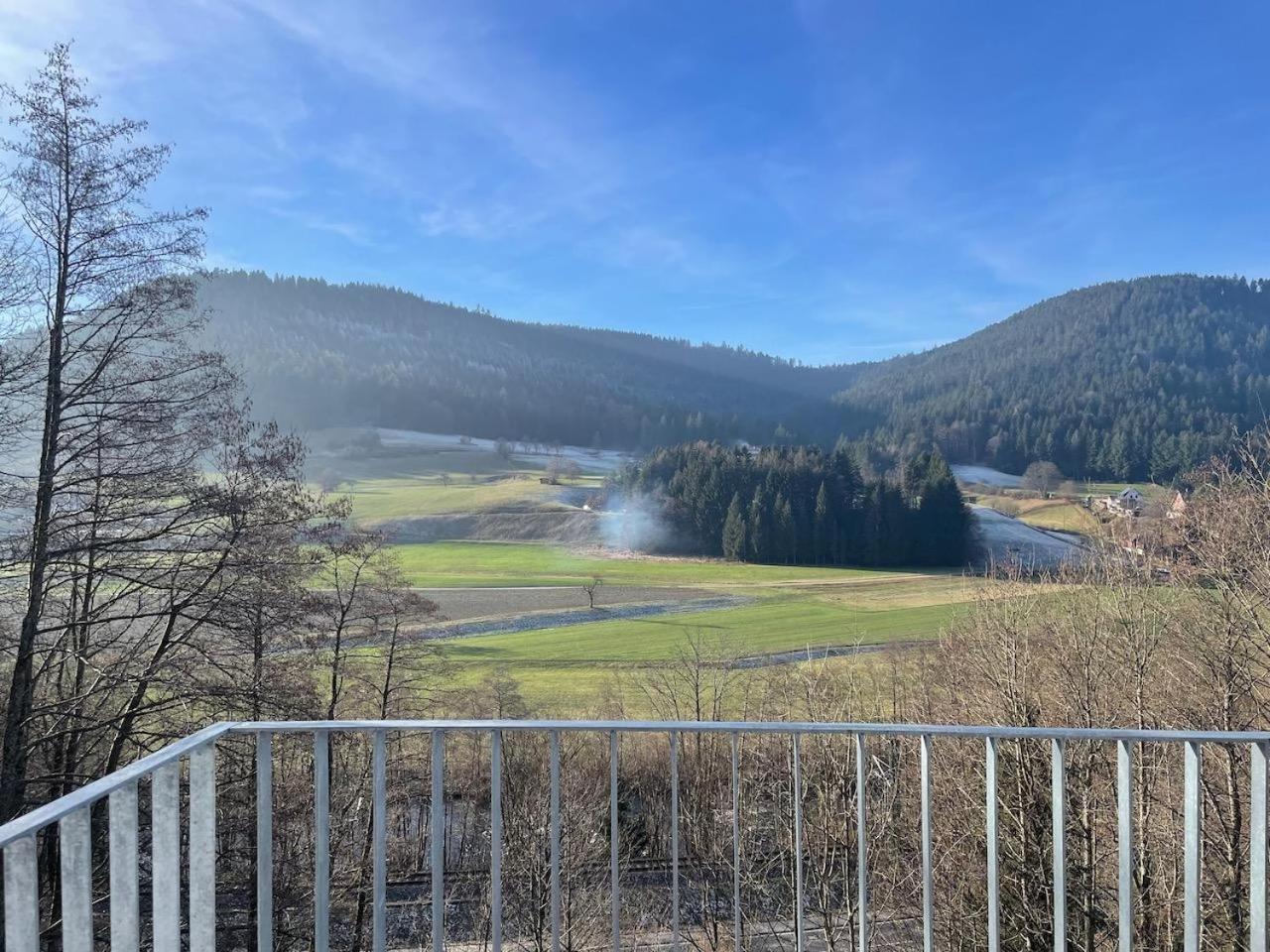 Ferienwohnungen Greve Baiersbronn Exteriér fotografie