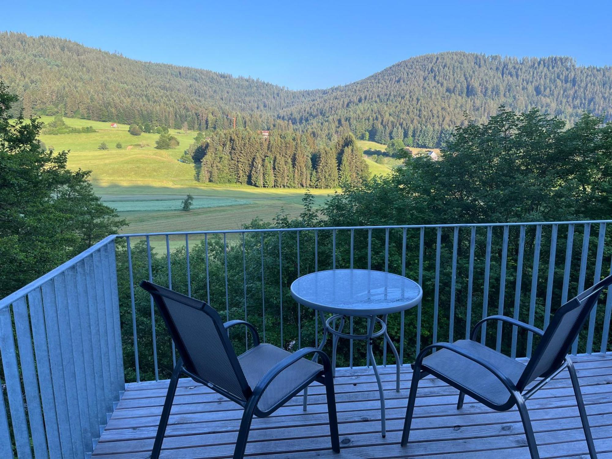 Ferienwohnungen Greve Baiersbronn Exteriér fotografie